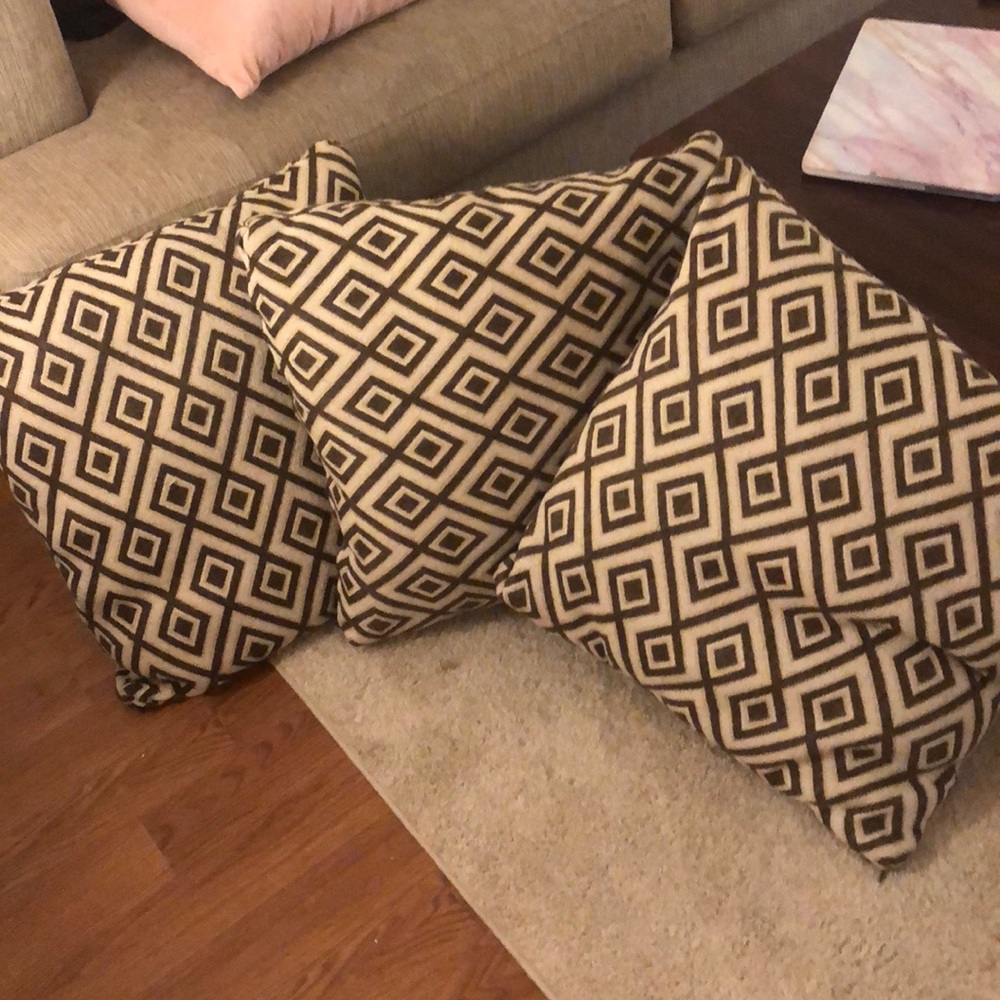 3 large throw pillows